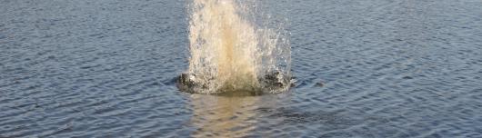 Stein f&auml;llt ins Wasser