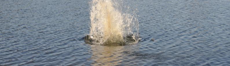Stein fällt ins Wasser Stein fällt ins Wasser