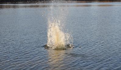 Stein fällt ins Wasser