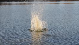 Stein f&auml;llt ins Wasser